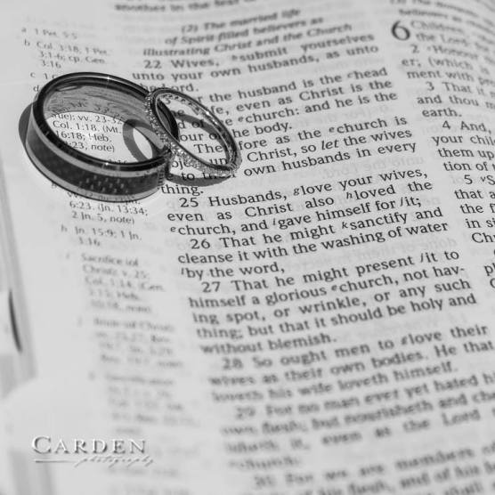 21192449_10159236854645282_3259102295451585999_n